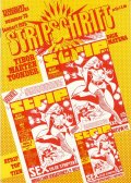 Stripschrift 73